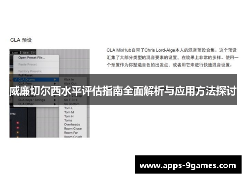 威廉切尔西水平评估指南全面解析与应用方法探讨